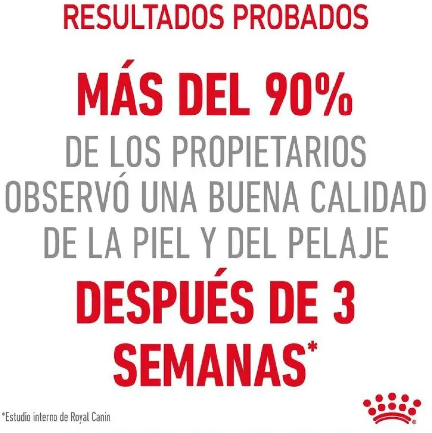 Royal Canin Hair and Skin alimento húmido em molho saquetas para gatos
