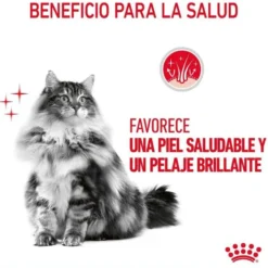 Royal Canin Hair and Skin alimento húmido em molho saquetas para gatos