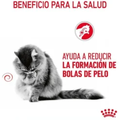 Royal Canin Hairball alimento húmido em molho saquetas para gatos