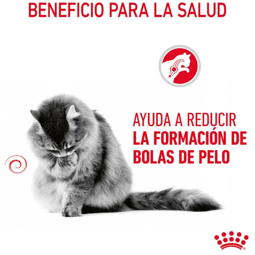 Royal Canin Hairball Care Saquetas em Gelatina para gatos