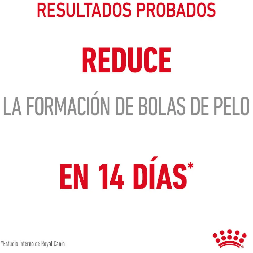 Royal Canin Hairball Care Saquetas em Gelatina para gatos