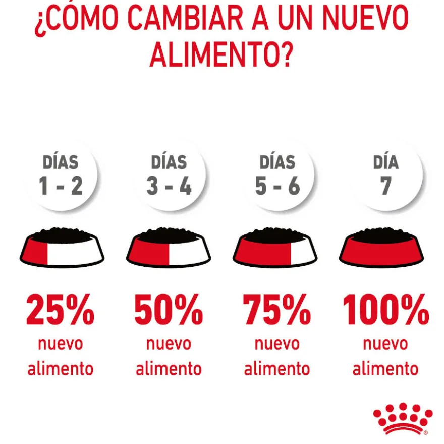 Royal Canin Hairball Care Saquetas em Gelatina para gatos