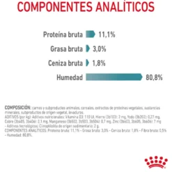 Royal Canin Hairball Care Saquetas em Gelatina para gatos