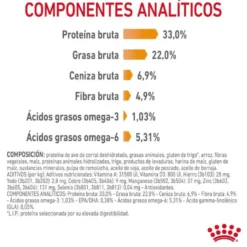 Royal Canin Hair&Skin ração para gatos