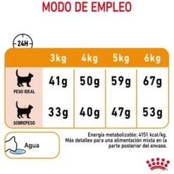 Royal Canin Hair&Skin ração para gatos