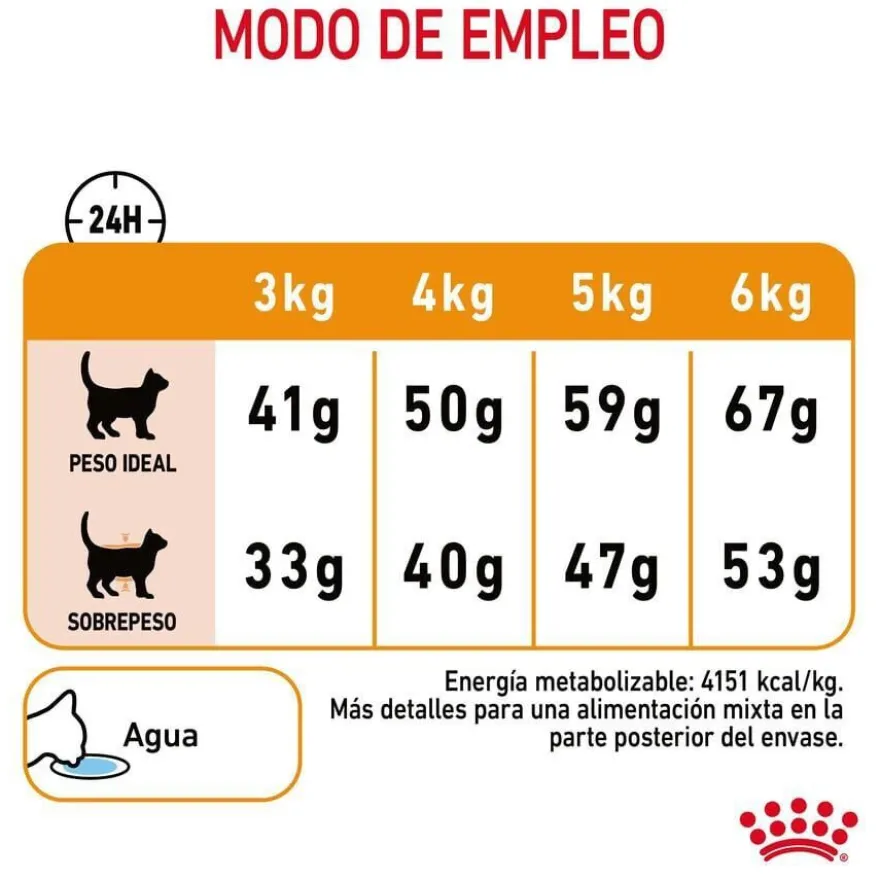 Royal Canin Hair&Skin ração para gatos
