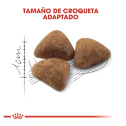 Royal Canin Home Life Indoor 27 ração para gatos