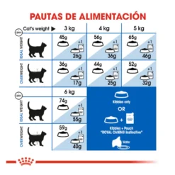 Royal Canin Home Life Indoor 27 ração para gatos