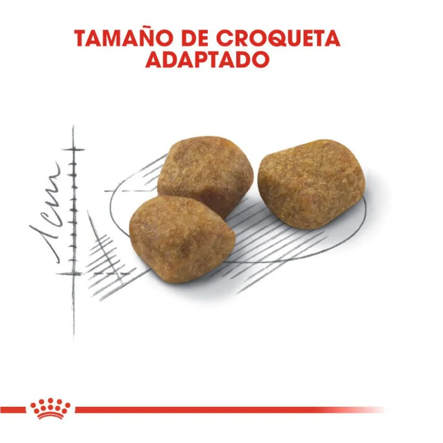 Royal Canin Home Life Indoor 7+ ração para gatos