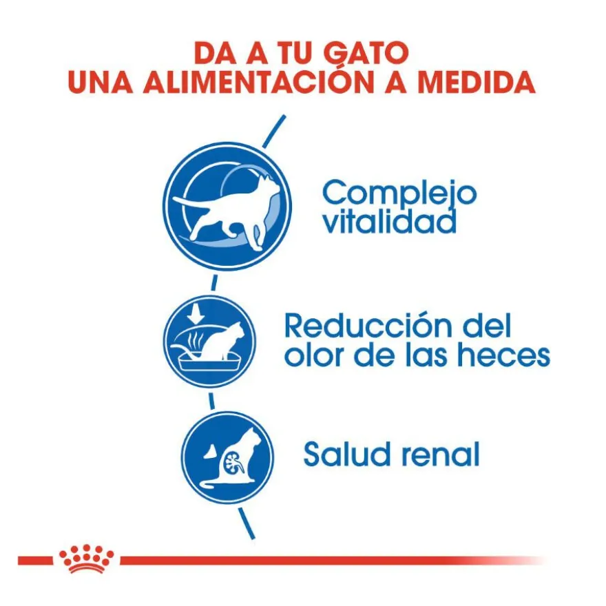 Royal Canin Home Life Indoor 7+ ração para gatos
