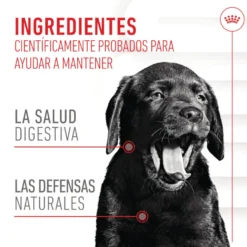Royal Canin Immunity & Digestion Chews Puppy Suplemento Nutricional para Cães
