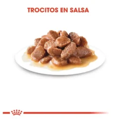 Royal Canin Instinctive alimento húmido em molho saquetas para gatos