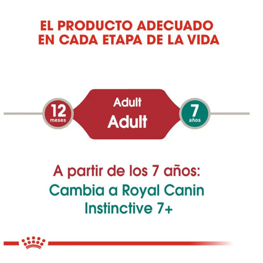 Royal Canin Instinctive alimento húmido em molho saquetas para gatos