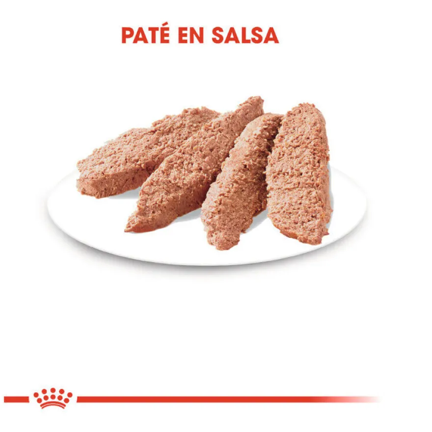 Royal Canin Instinctive patê saqueta para gatos