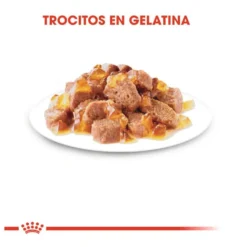 Royal Canin Instinctive Saquetas de Gelatina para gatos