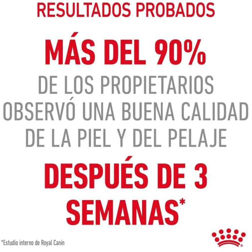 Royal Canin Intense Beauty Saquetas em Gelatina para gatos