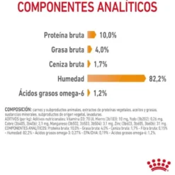 Royal Canin Intense Beauty Saquetas em Gelatina para gatos
