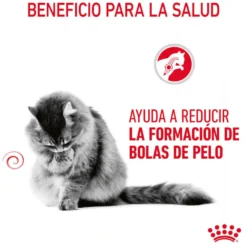 Royal Canin Intense Hairball ração para gatos bolas de pelo