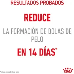 Royal Canin Intense Hairball ração para gatos bolas de pelo