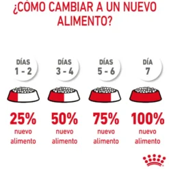 Royal Canin Intense Hairball ração para gatos bolas de pelo