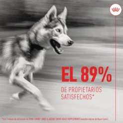 Royal Canin Joint & Ageing Chews Suplemento Nutricional para cães sénior