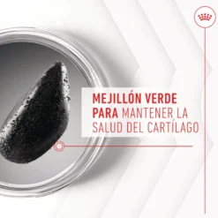 Royal Canin Joint & Ageing Chews Suplemento Nutricional para cães sénior