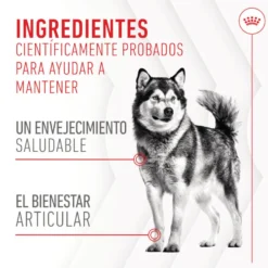 Royal Canin Joint & Ageing Chews Suplemento Nutricional para cães sénior