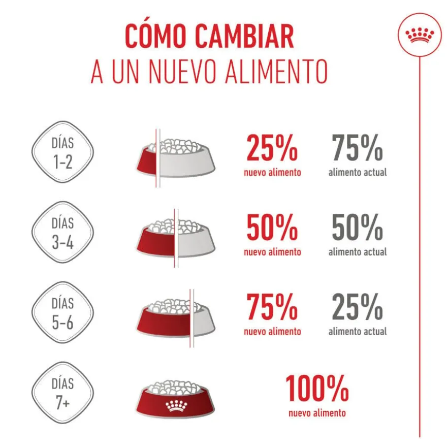 Royal Canin Junior Giant ração para cães