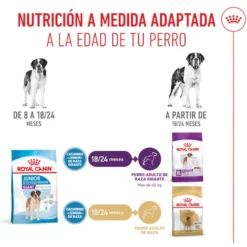 Royal Canin Junior Giant ração para cães