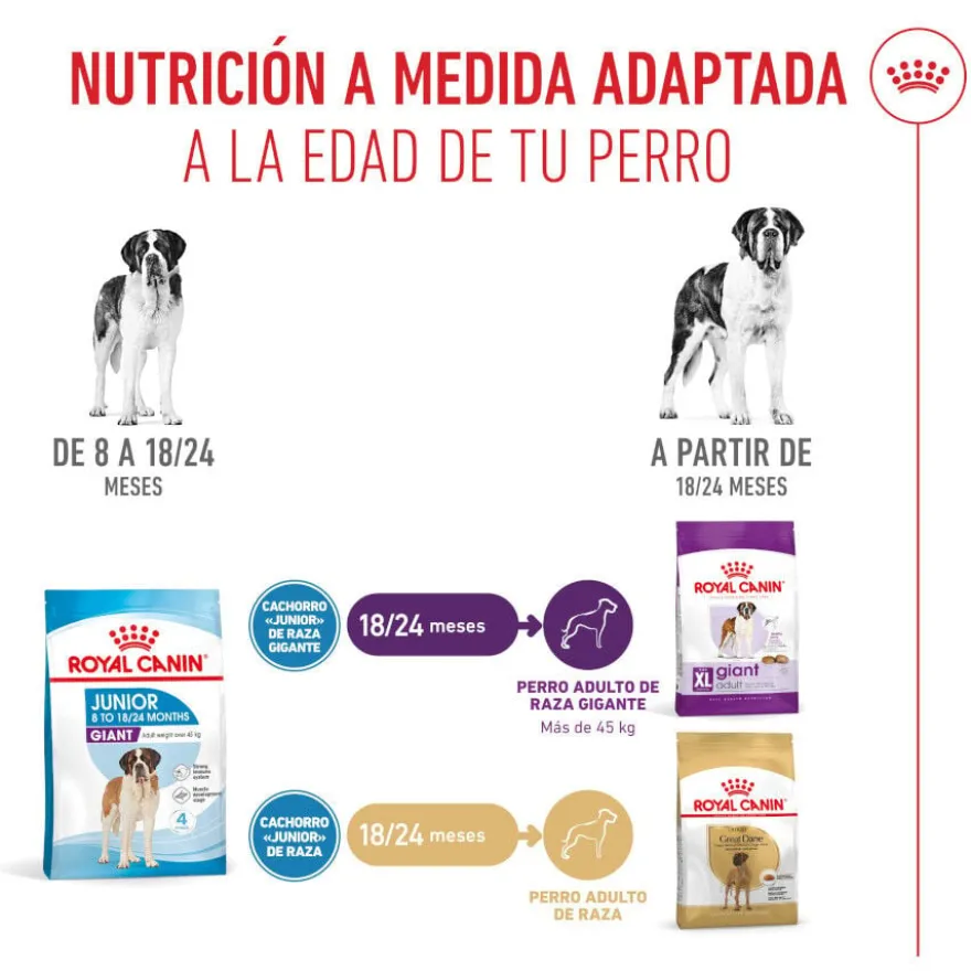 Royal Canin Junior Giant ração para cães