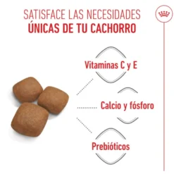 Royal Canin Junior Giant ração para cães
