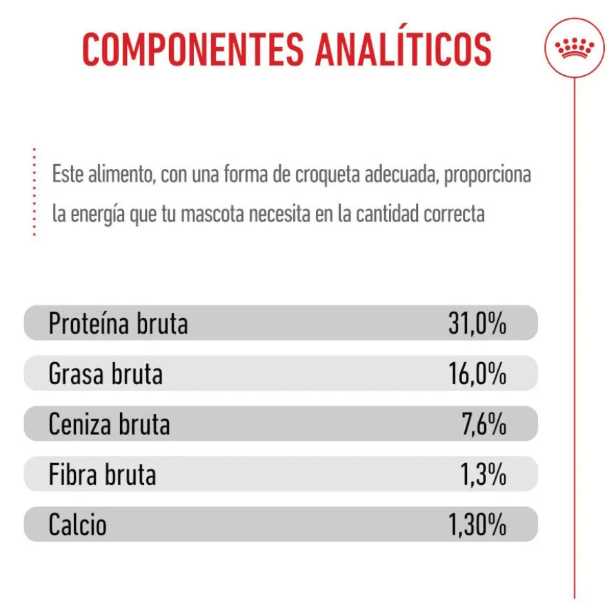 Royal Canin Junior Giant ração para cães