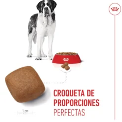 Royal Canin Junior Giant ração para cães