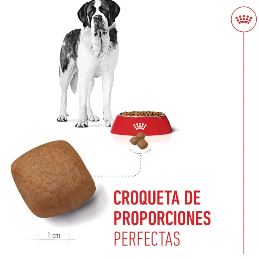 Royal Canin Junior Giant ração para cães
