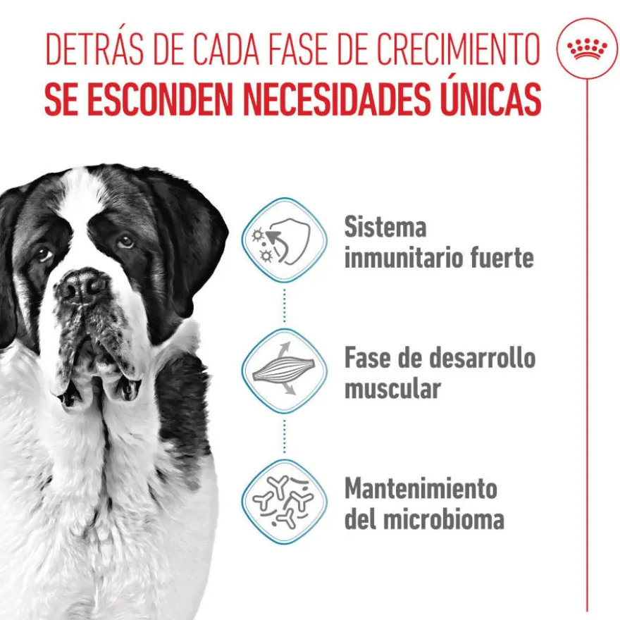 Royal Canin Junior Giant ração para cães