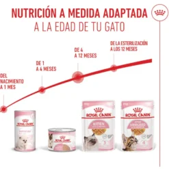 Royal Canin Kitten alimento húmido em gelatina saquetas para gatos