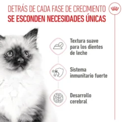 Royal Canin Kitten alimento húmido em gelatina saquetas para gatos