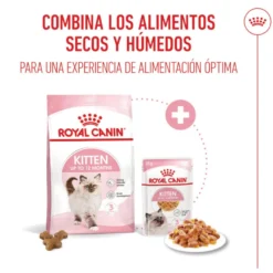 Royal Canin Kitten alimento húmido em gelatina saquetas para gatos
