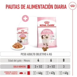 Royal Canin Kitten alimento húmido em gelatina saquetas para gatos