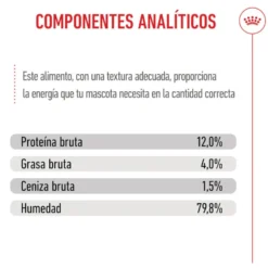 Royal Canin Kitten alimento húmido em gelatina saquetas para gatos