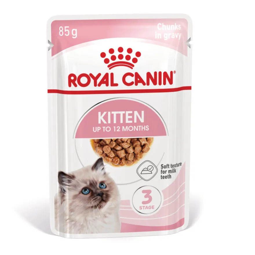 Royal Canin Kitten Alimento Húmido em molho para gatinhos