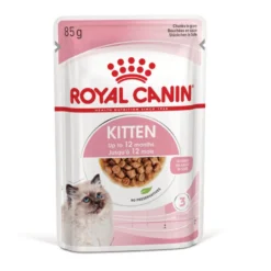 Royal Canin Kitten Alimento Húmido em molho para gatinhos