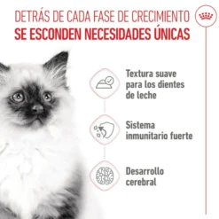 Royal Canin Kitten Alimento Húmido em molho para gatinhos