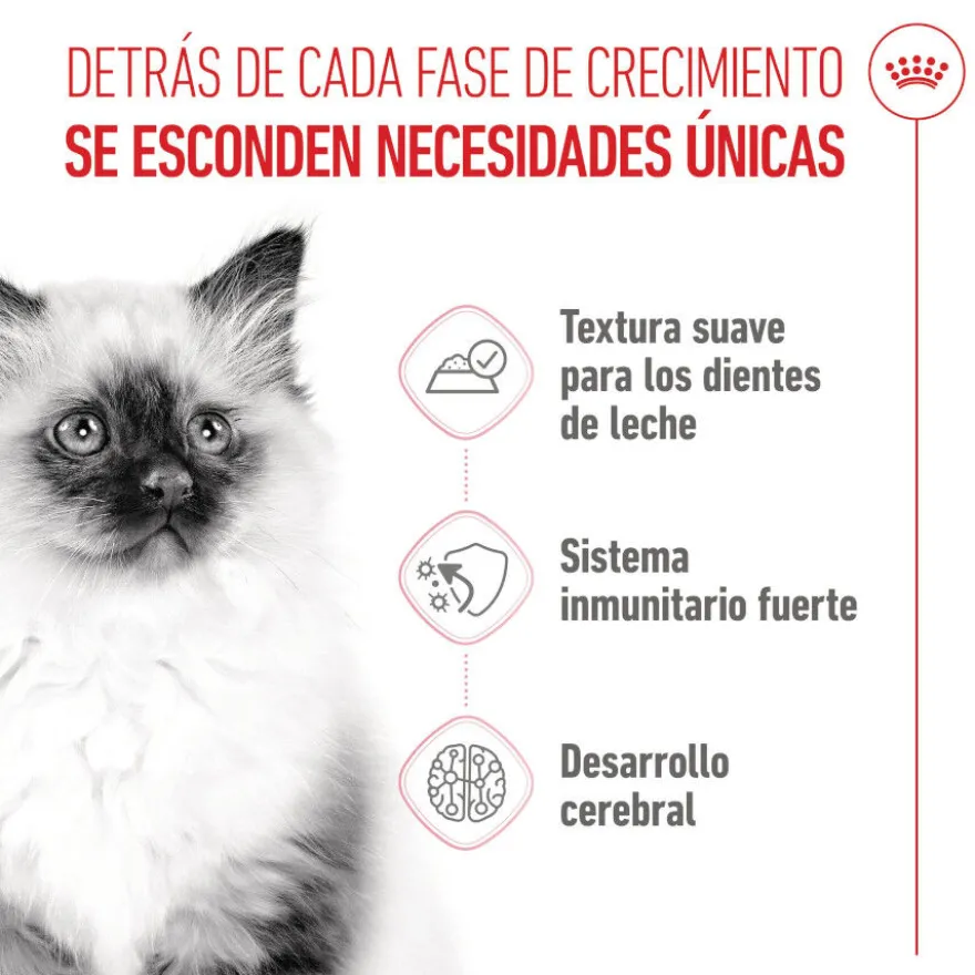 Royal Canin Kitten Alimento Húmido em molho para gatinhos