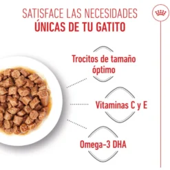 Royal Canin Kitten Alimento Húmido em molho para gatinhos