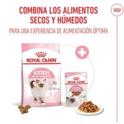 Royal Canin Kitten Alimento Húmido em molho para gatinhos