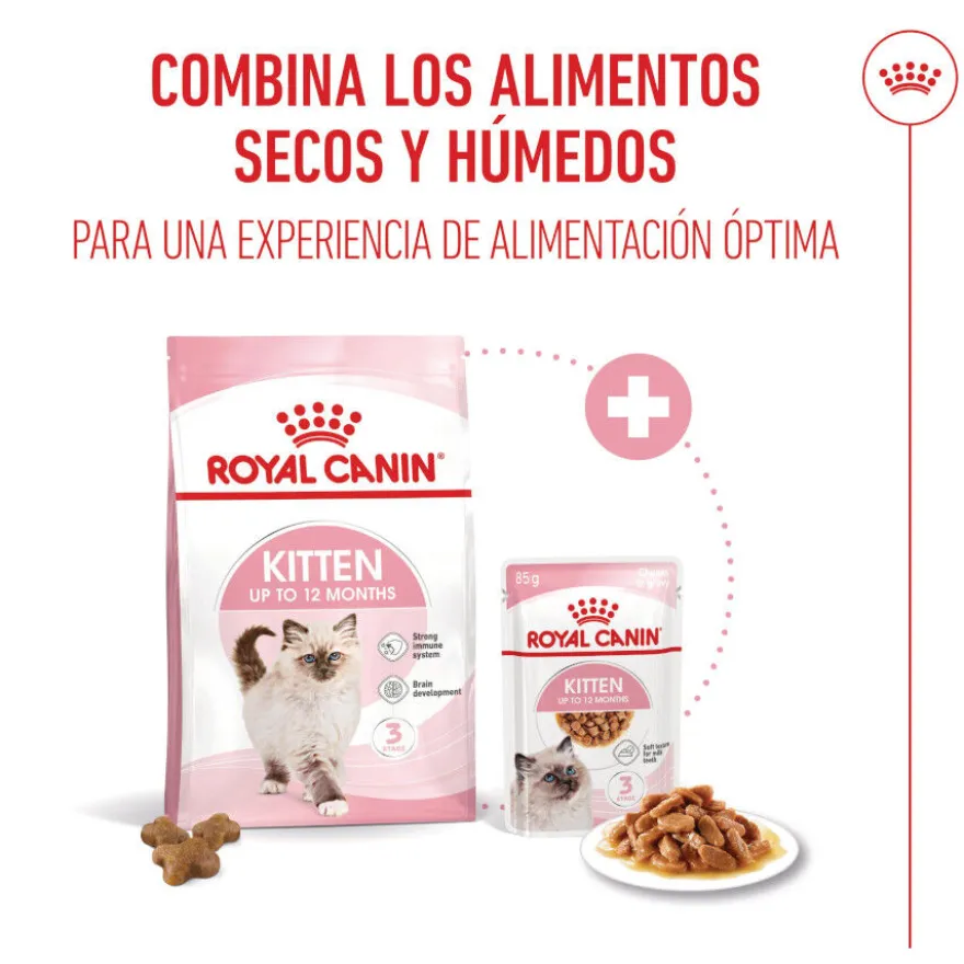 Royal Canin Kitten Alimento Húmido em molho para gatinhos