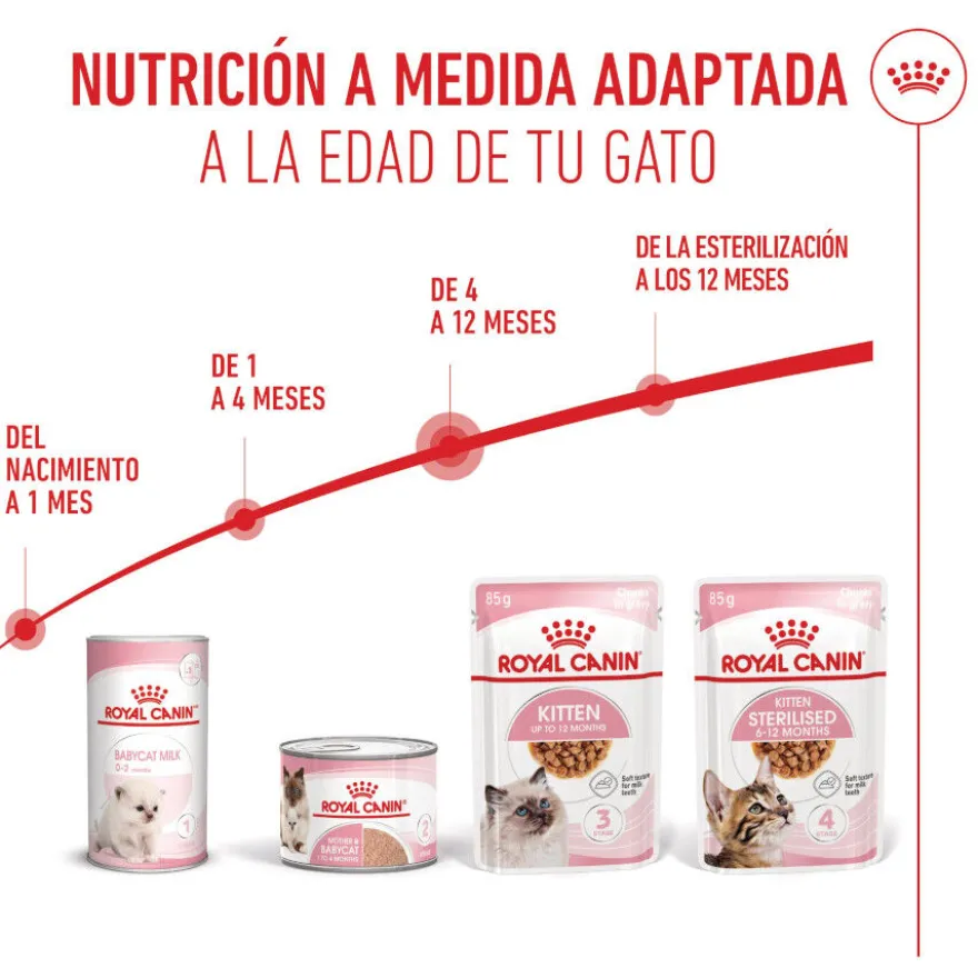 Royal Canin Kitten Alimento Húmido em molho para gatinhos