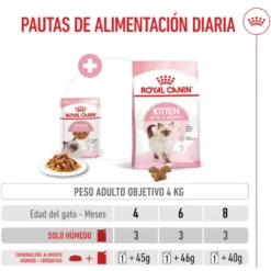 Royal Canin Kitten Alimento Húmido em molho para gatinhos