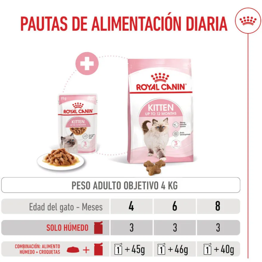 Royal Canin Kitten Alimento Húmido em molho para gatinhos